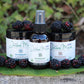 Boysenberry Body Oil Mist